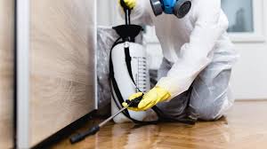 Best Organic or Eco-Friendly Pest Control  in Westlake Village, CA